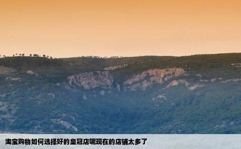淘宝购物如何选择好的皇冠店呢现在的店铺太多了