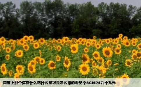 淘宝上那个信誉什么钻什么皇冠是怎么排的看见个8GMP4九十九元