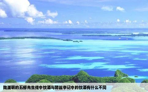 陶渊明的五柳先生传中饮酒与醉翁亭记中的饮酒有什么不同