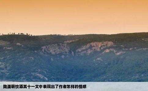 陶渊明饮酒其十一文中表现出了作者怎样的情感