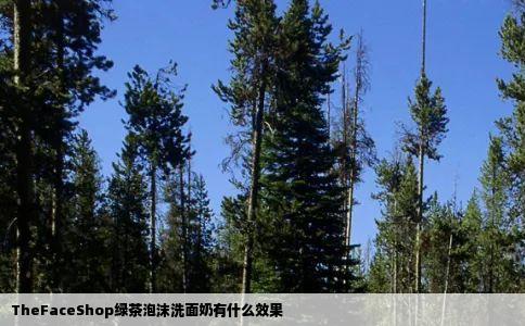 TheFaceShop绿茶泡沫洗面奶有什么效果