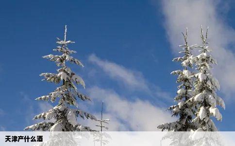 天津产什么酒