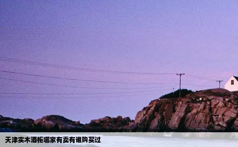 天津实木酒柜哪家有卖有谁购买过