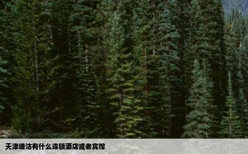 天津塘沽有什么连锁酒店或者宾馆