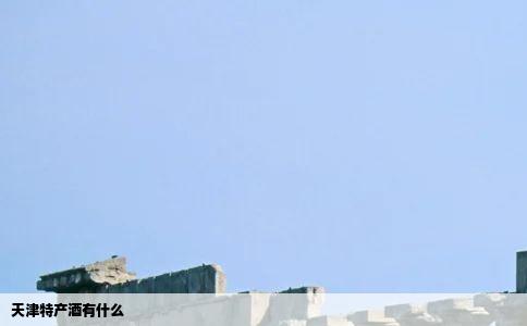 天津特产酒有什么