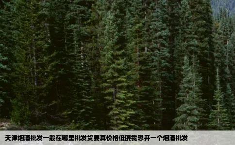 天津烟酒批发一般在哪里批发货要真价格低廉我想开一个烟酒批发