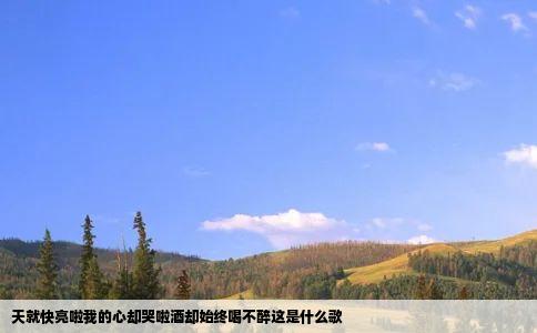 天就快亮啦我的心却哭啦酒却始终喝不醉这是什么歌
