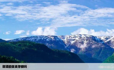 甜酒能做麦芽糖吗