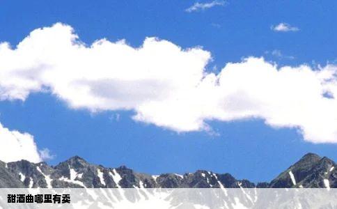 甜酒曲哪里有卖