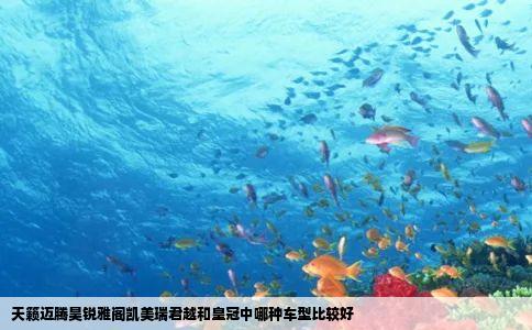 天籁迈腾昊锐雅阁凯美瑞君越和皇冠中哪种车型比较好