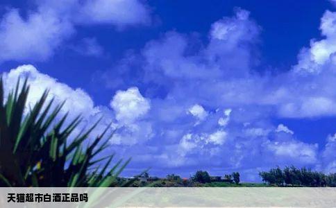 天猫超市白酒正品吗