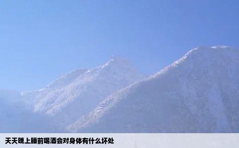 天天晚上睡前喝酒会对身体有什么坏处