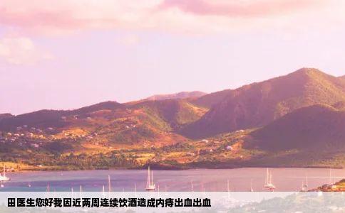 田医生您好我因近两周连续饮酒造成内痔出血出血