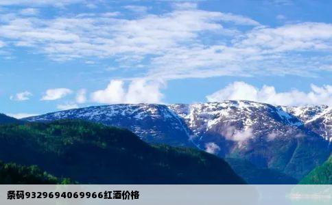 条码9329694069966红酒价格