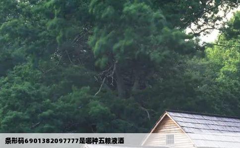 条形码6901382097777是哪种五粮液酒