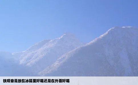 铁观音是放在冰箱里好喝还是在外面好喝
