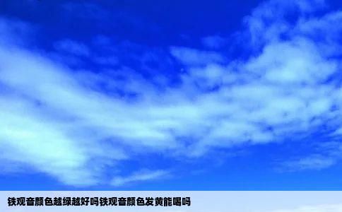 铁观音颜色越绿越好吗铁观音颜色发黄能喝吗