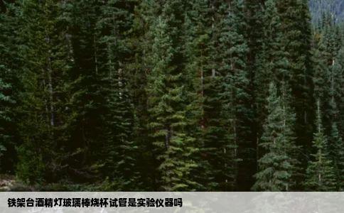 铁架台酒精灯玻璃棒烧杯试管是实验仪器吗
