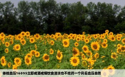 体检血压16095立即戒酒戒烟饮食清淡也不吃药一个月后血压自然