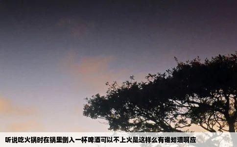 听说吃火锅时在锅里倒入一杯啤酒可以不上火是这样么有谁知道啊应