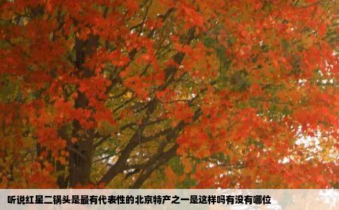 听说红星二锅头是最有代表性的北京特产之一是这样吗有没有哪位