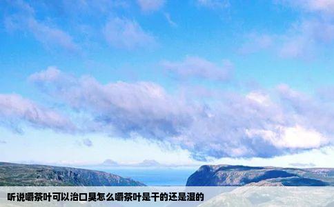 听说嚼茶叶可以治口臭怎么嚼茶叶是干的还是湿的