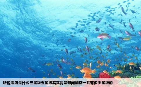 听说酒店是什么三星级五星级其实我是想问酒店一共有多少星级的
