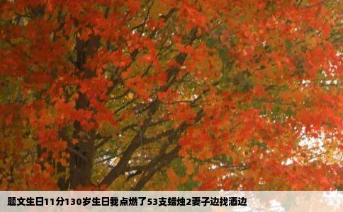 题文生日11分130岁生日我点燃了53支蜡烛2妻子边找酒边