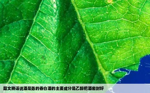 题文熟话说酒是陈的香白酒的主要成分是乙醇把酒密封好