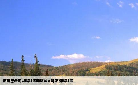 痛风患者可以喝红酒吗这些人都不能喝红酒