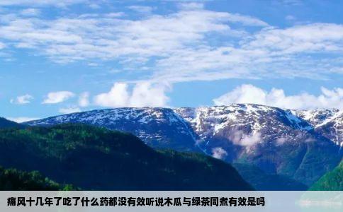 痛风十几年了吃了什么药都没有效听说木瓜与绿茶同煮有效是吗