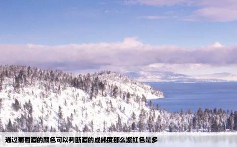 通过葡萄酒的颜色可以判断酒的成熟度那么紫红色是多