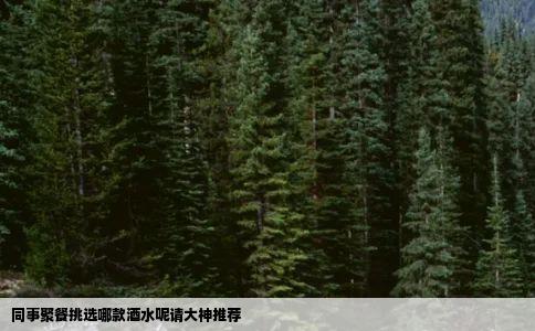 同事聚餐挑选哪款酒水呢请大神推荐