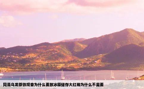 同是乌龙茶铁观音为什么要放冰箱储存大红袍为什么不需要