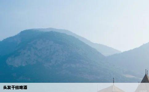 头发干枯啤酒