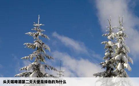 头天喝啤酒第二天大便是绿色的为什么
