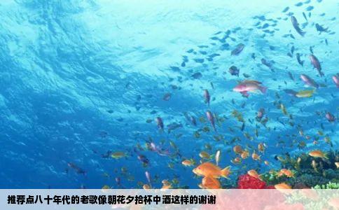 推荐点八十年代的老歌像朝花夕拾杯中酒这样的谢谢