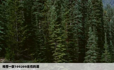 推荐一款100200左右的酒