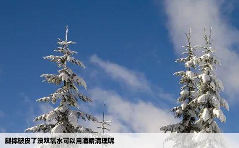 腿摔破皮了没双氧水可以用酒精清理呢