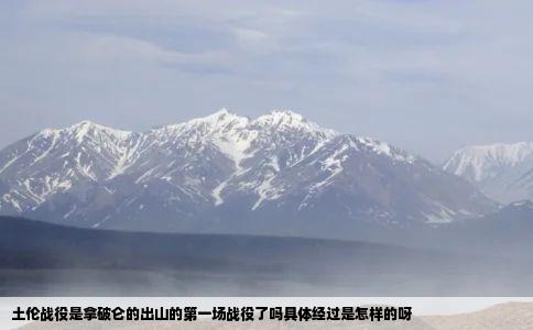 土伦战役是拿破仑的出山的第一场战役了吗具体经过是怎样的呀