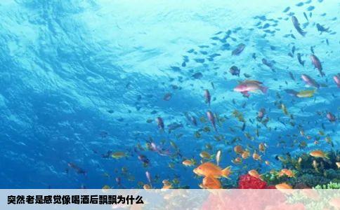 突然老是感觉像喝酒后飘飘为什么