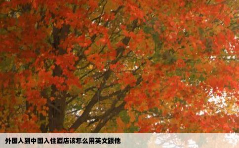 外国人到中国入住酒店该怎么用英文跟他