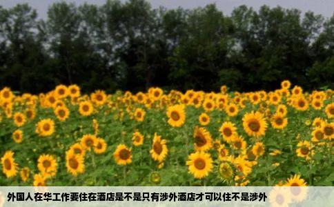 外国人在华工作要住在酒店是不是只有涉外酒店才可以住不是涉外