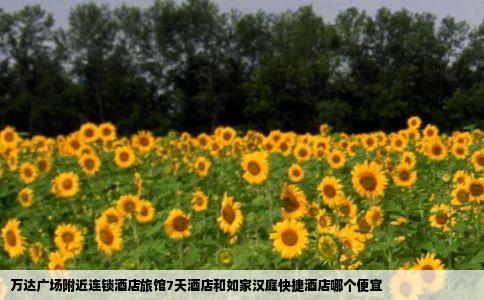 万达广场附近连锁酒店旅馆7天酒店和如家汉庭快捷酒店哪个便宜