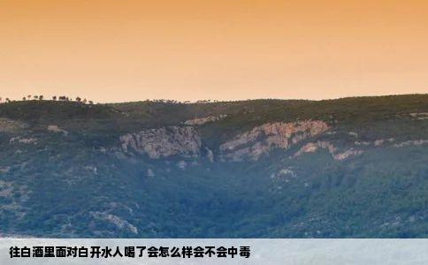 往白酒里面对白开水人喝了会怎么样会不会中毒