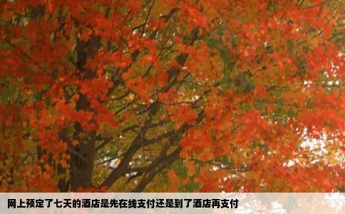 网上预定了七天的酒店是先在线支付还是到了酒店再支付