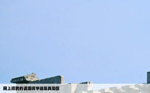 网上招聘的调酒师学徒是真是假