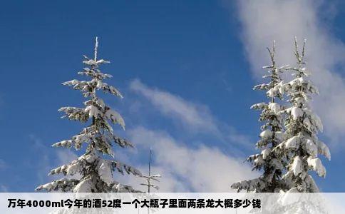 万年4000ml今年的酒52度一个大瓶子里面两条龙大概多少钱