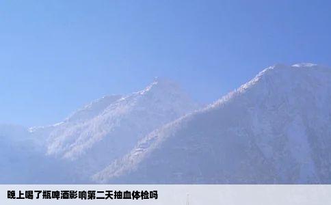 晚上喝了瓶啤酒影响第二天抽血体检吗