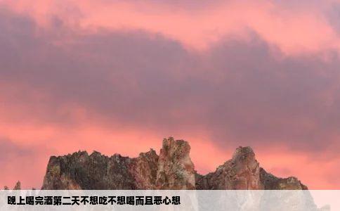 晚上喝完酒第二天不想吃不想喝而且恶心想